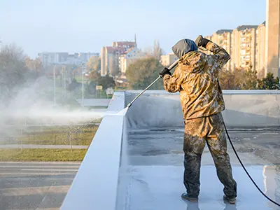 roof and gutter cleaning, Iowa, IA3