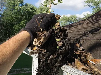 roof and gutter cleaning, Iowa, IA6